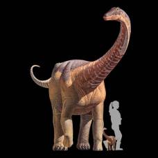 Завроподы, или зауроподы (лат. sauropoda)